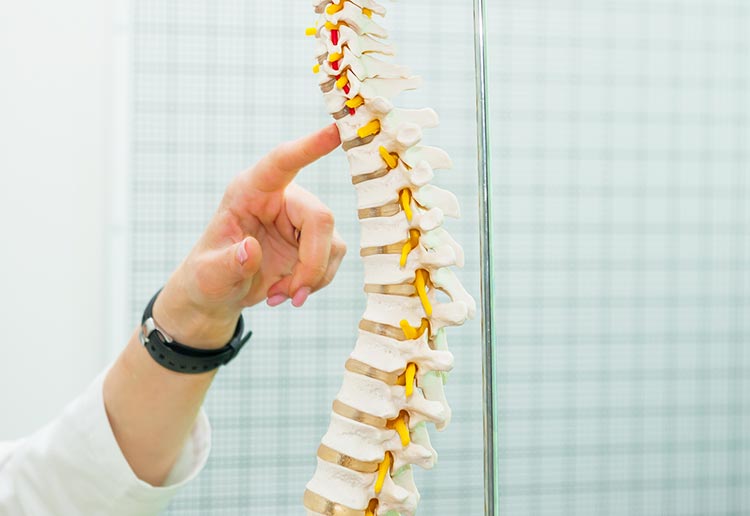 背骨外来のイメージ画像